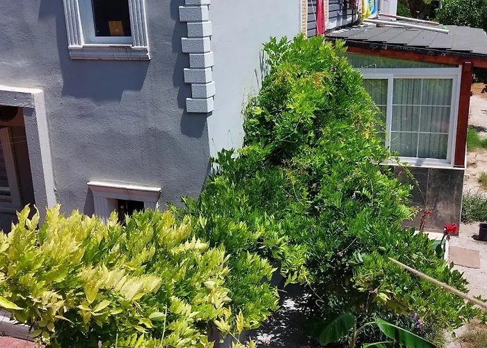 Belhomes بيلديبي