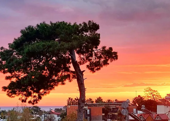 Belhomes شقة بيلديبي